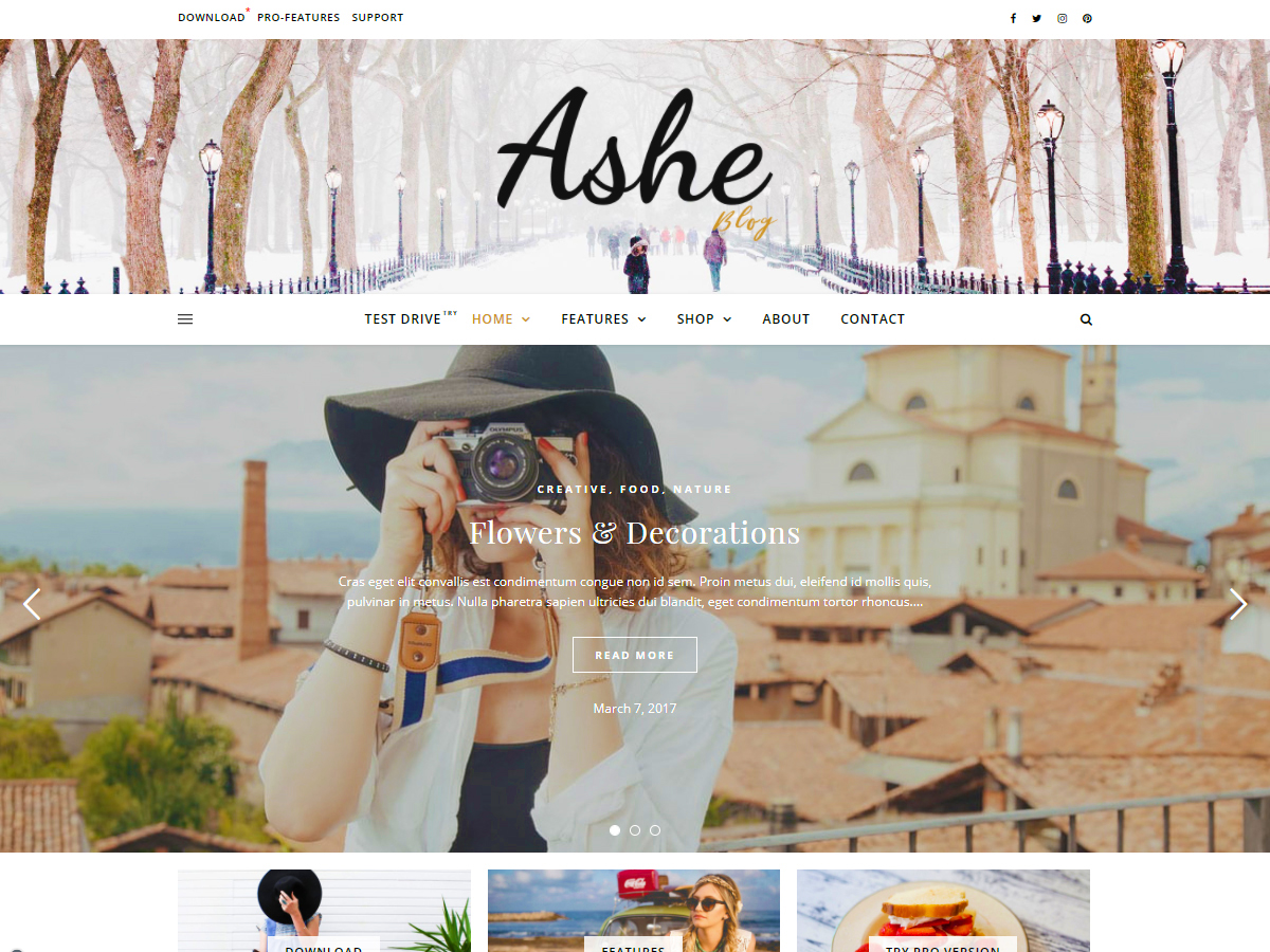 دانلود قالب های وردپرسی 6 Ashe