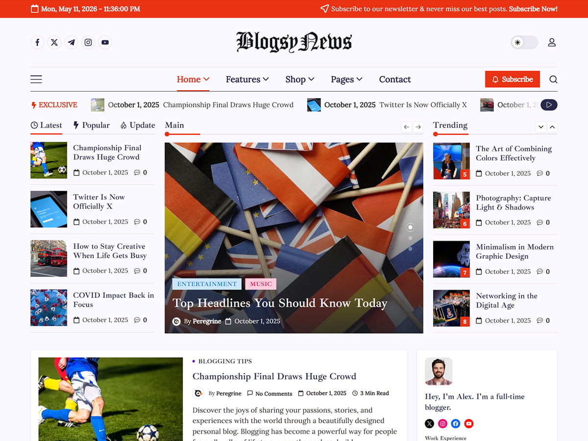 دانلود قالب های وردپرسی 13 Blogsy News