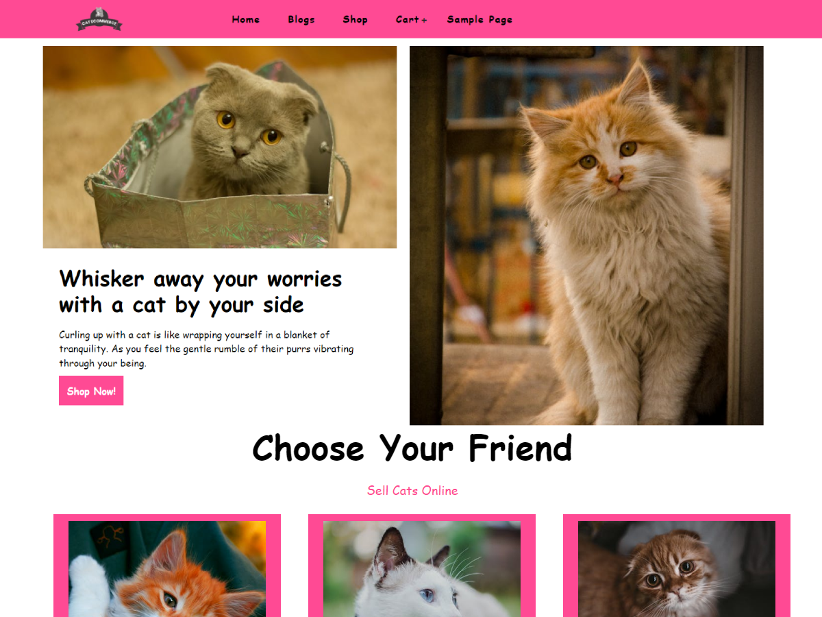 دانلود قالب های وردپرسی 13 Cat Ecommerce